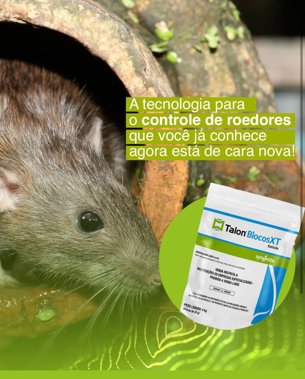 Solução profissional para controle de roedores
